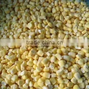 NEW FROZEN WHOLE KERNEL CORN JINFEI SWEET CORN
