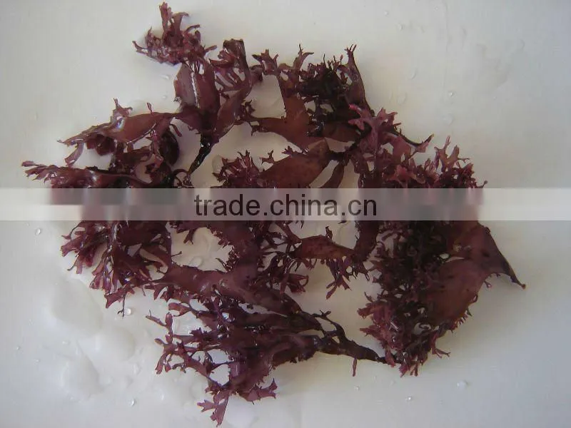 (Dried Seaweed) Dried Red Tosaka