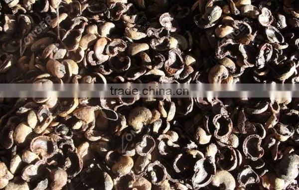 New Professional Designed Cashew Nut Processing Machine price
