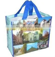 Cute Plastic Shopping Bags