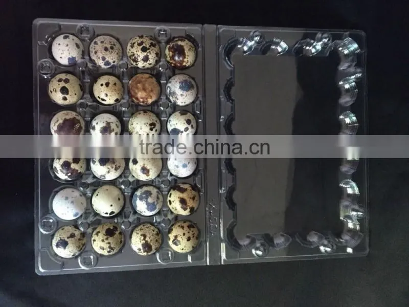 PVC plastics Plastics food containers Egg packing box for quail 12 eggs quail egg tray
