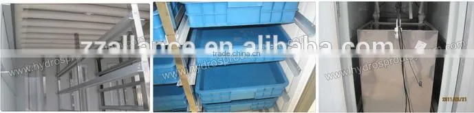 Low Price 100kg/day Hydroponic Fodder Sprouting Machine