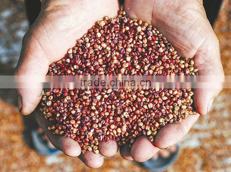 Agricultural Rice Thresher Machine Mini Wheat Thresher Paddy Rice Sheller Machine (whatsapp:0086 15039114052)