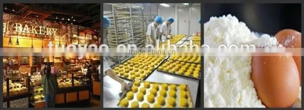 Salable High efficiency Big capacity Stainless steel Egg yolk and protein separating machine made in China