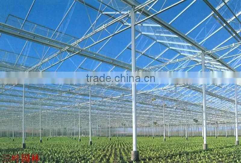 Steel structure building solid greenhouse