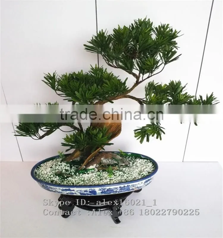 wholesale artificial home bonsai tree for sale live cypress tree