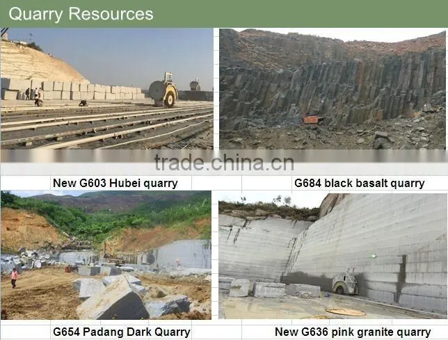China Rosa Porrino granite slabs,pink granite slabs