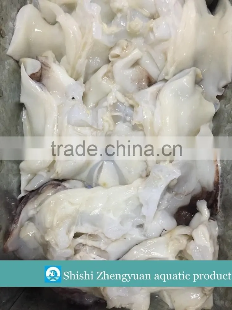 Frozen Giant Peru fillet squid neck Size 500+ on sale