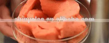 Frozen Dessert Maker Fruit Dessert Maker Frozen Sorbet Maker