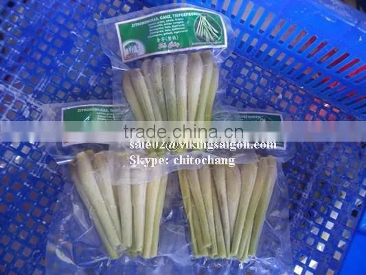 FROZEN LEMONGRASS BEST PRICE FROM VIETNAM