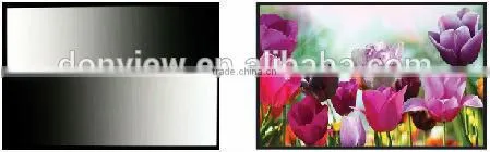 55" LCD Professional Monitor