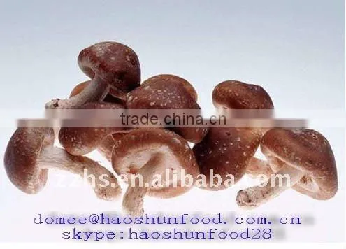 Canned Shiitake mushroom HACCP Approval