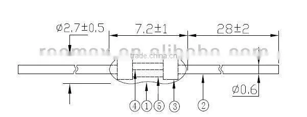 250V small fuse