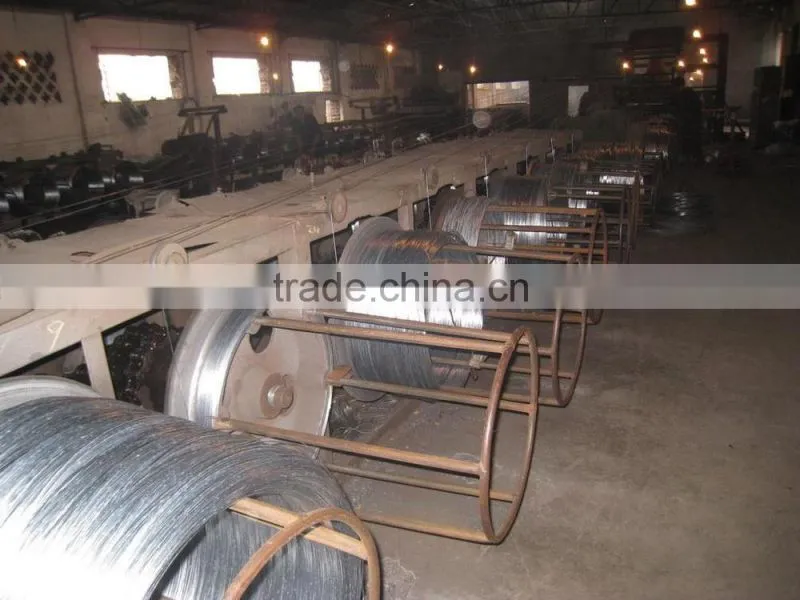 Bwg20 Galvanized Iron Wire /Galvanized Wire