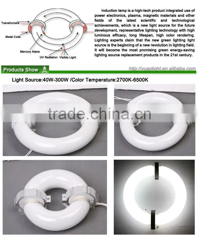 eco friendly induction magnetic lamp