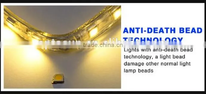 5050 RGB SMD 230V 220V 110V flexible led light strip,high voltage led strip light