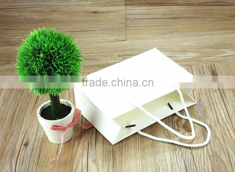 Nice Various Size White Shopping Paper Bag,Cheap Kraft Paper Coin Pouch
