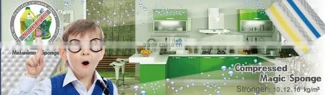 Bath Sponge 2014 New World Best Selling Products