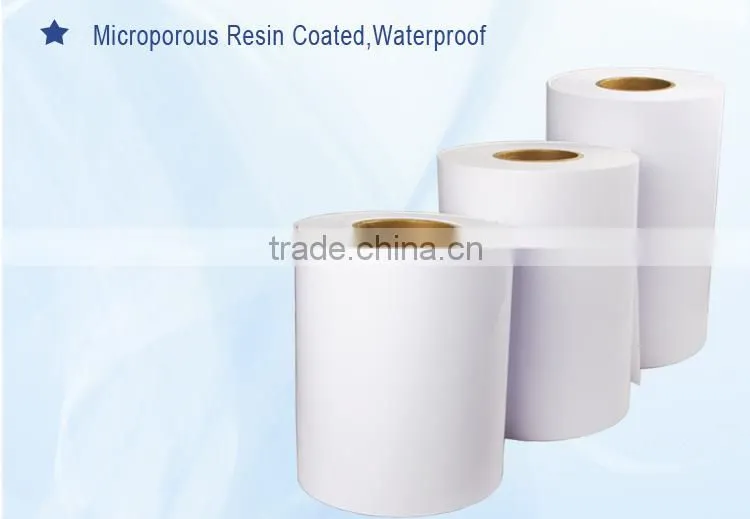 Drylab photo paper,8"x100m for Epson D3000