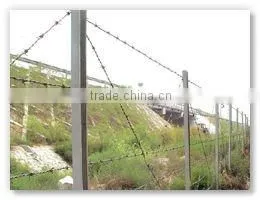 Barbed fence(an inexpensive fencing option)