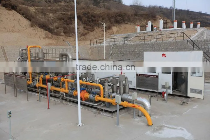 Gas well Alcohol-injection pumps skid mounted