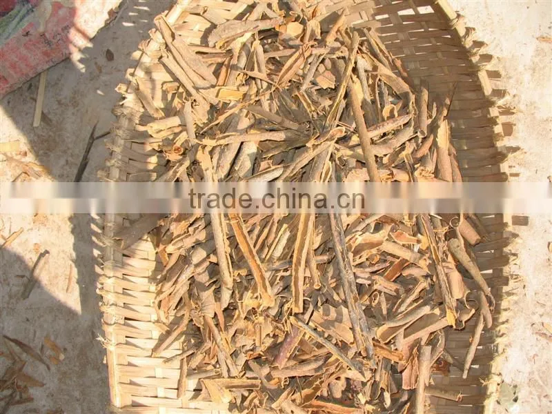 Chinese Food Crop Broken Cinnamon Cassia 2016