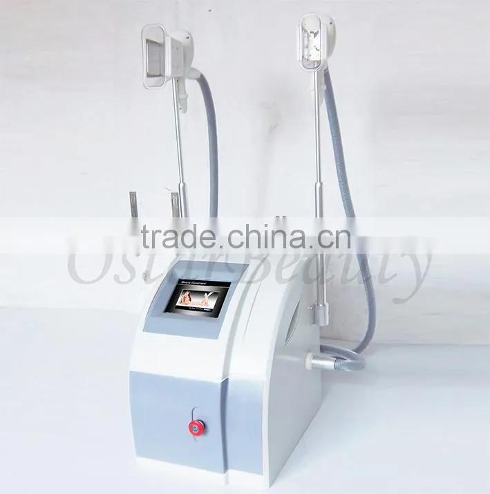 Newest freeze weight loss & fat freeze slimming machine