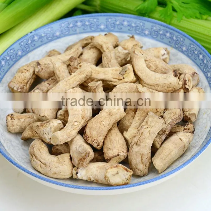 Hot Selling Dried Mushroom Stem