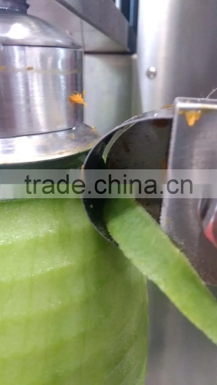 China made industrial powerful FXP-66 melon skin peeling machine