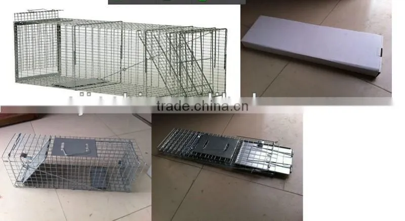 zinc coated little animal trap cage