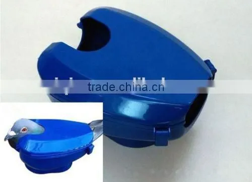 racing pigeon holder for injection feeding racing pigeon holder for injection feeding