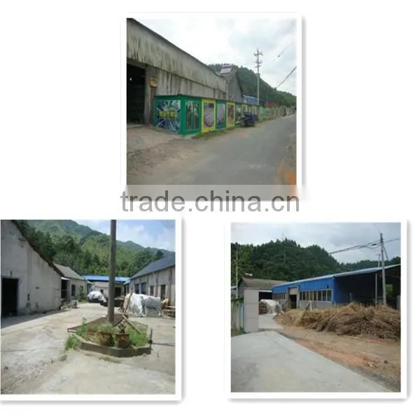 Natural factory moso bamboo poles sale