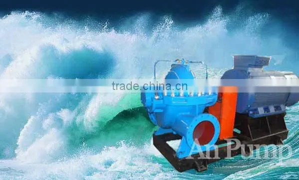 Large Capacity Hydro Power Plant Double Suction Sea Water Pump