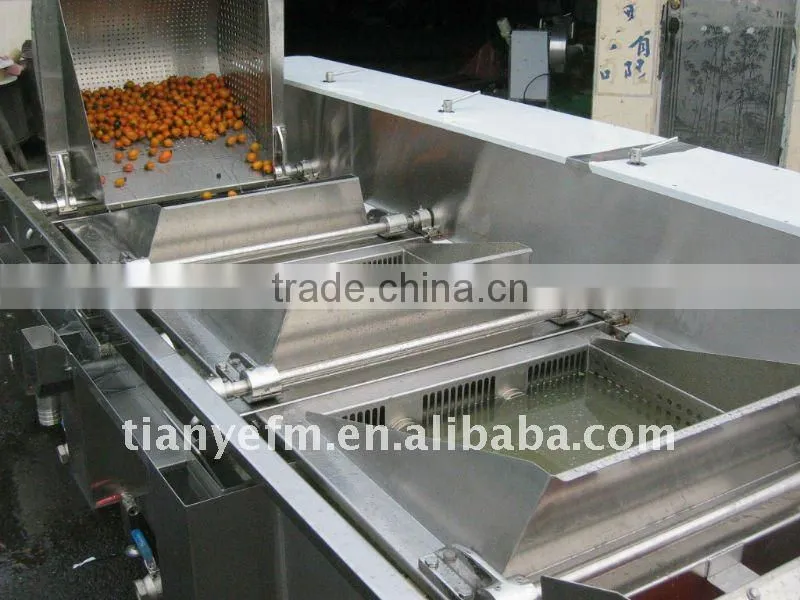 TW-475 Hot Selling Fruit and Vegetable washing machine (Video)
