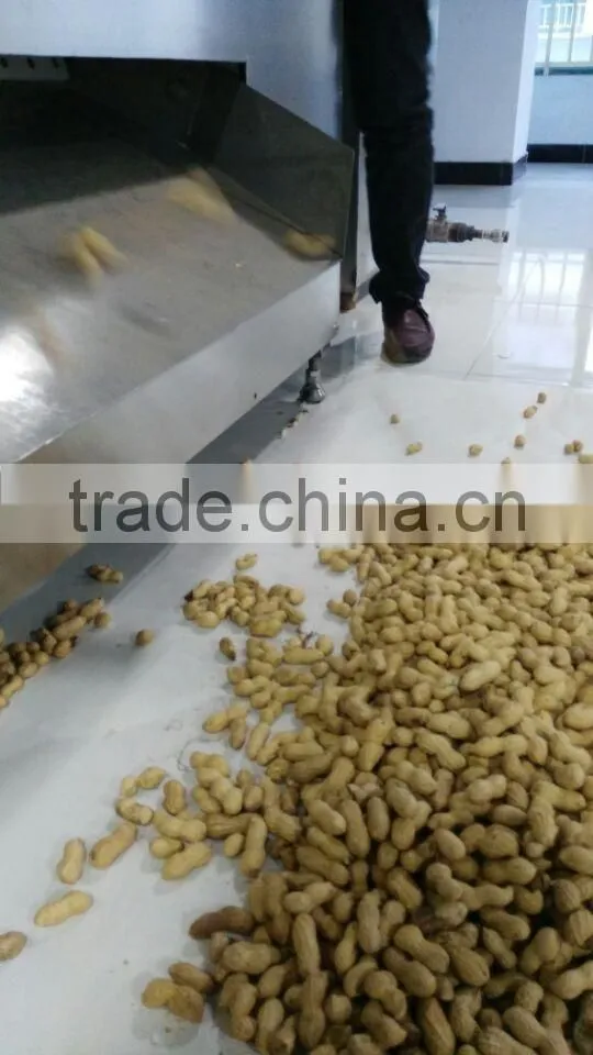 Vegetable and fruit Dehydration machine /conveyor mesh belt dryer