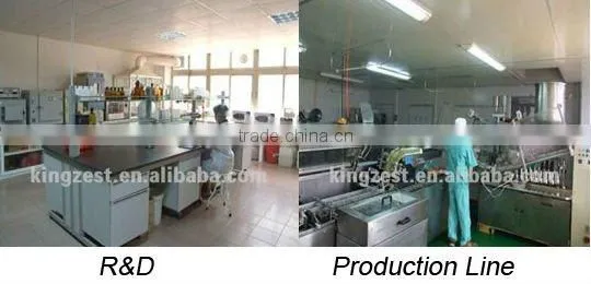 1KG high grade Tempura Battering Mix