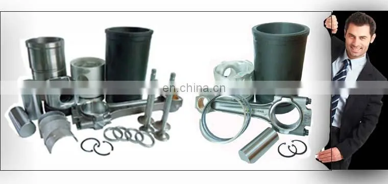 diesel engine parts Cummins L10 M11 Main Bearing 4025125 supplier in china