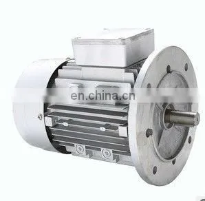 THREE PHASE ELECTRIC MOTOR