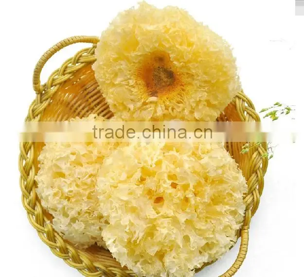 farm produce natural special grade tremella,yiner