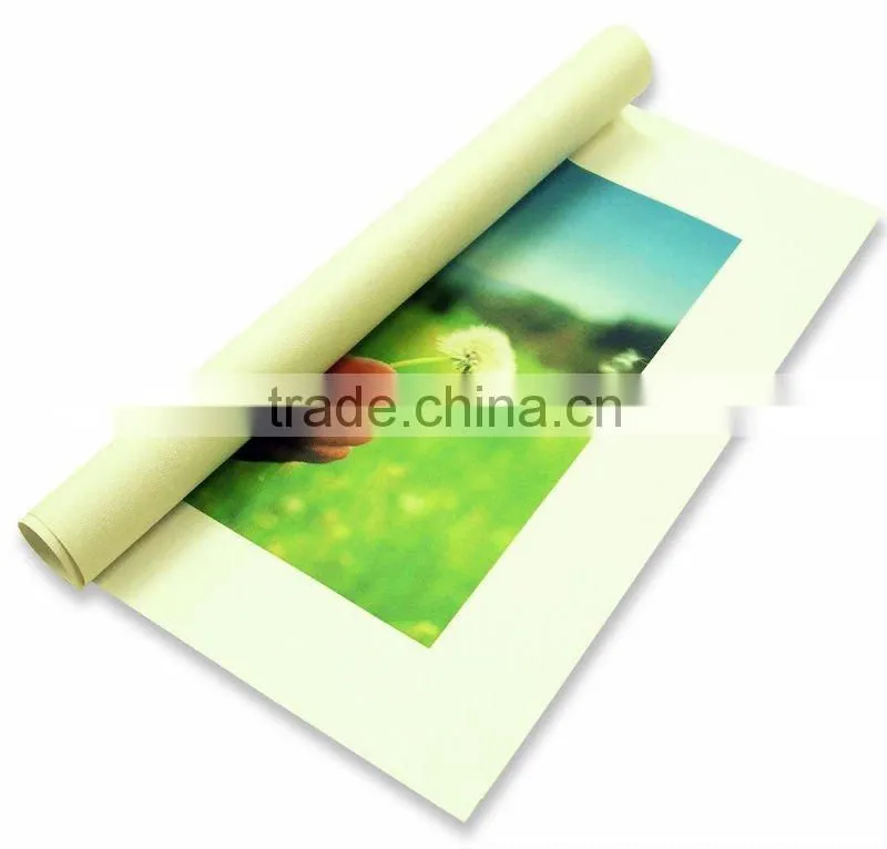 Indoor Rolled Canvas Prints