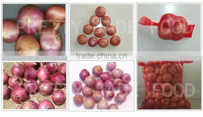 New Crop Fresh Onion