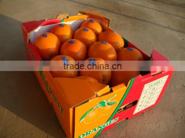 Lovely Baby Mandarin