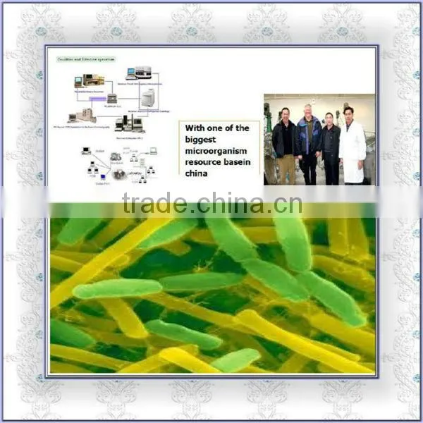 bacteria for septic tank decontamination SUKAClean S/T septic tank smell control bacteria