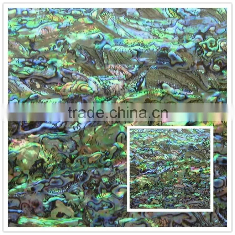 nature abalone/paua sea mother of pearl shell mosaic wall panel,wallpaper for sale