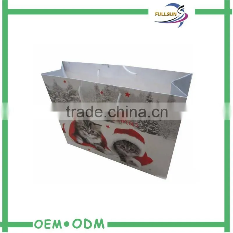 Dongguan Manufacturer paper shopping bag