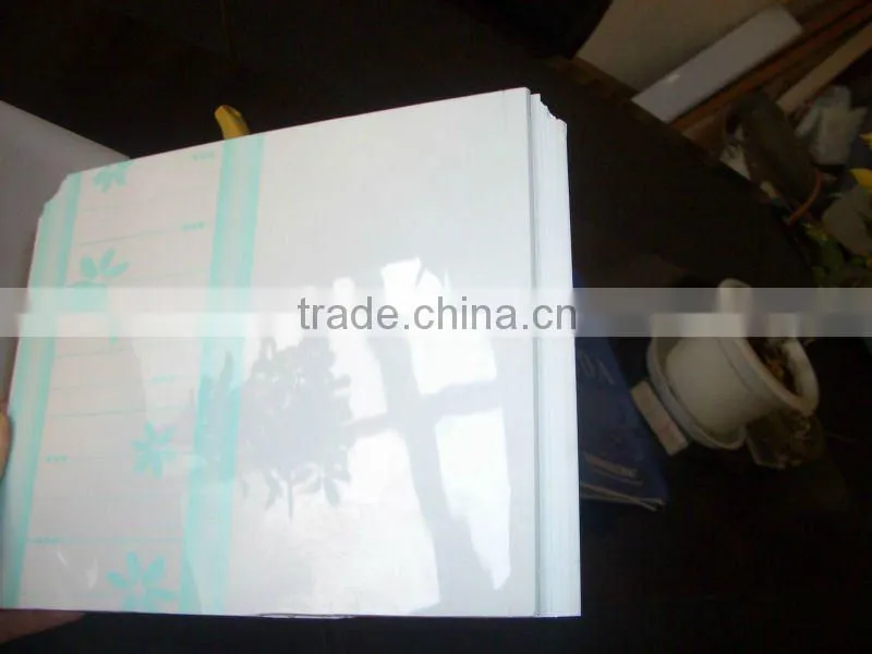 YBW 2500 / 2600 Two-Color Printing and UV Coating Machine