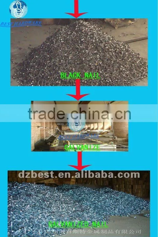 galvanized roofing nail with umbrella head from DINGZHOU BEST HARDWARE CO.,LTD