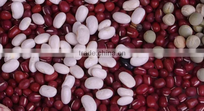 dark red Adzuki bean
