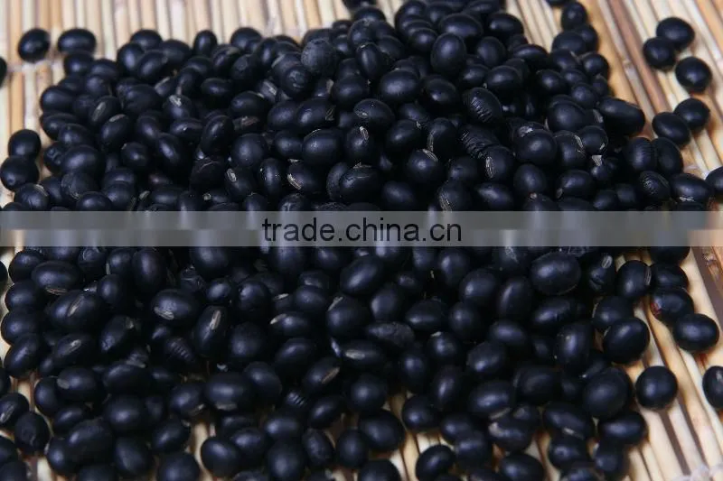 2011 new crop black kidney beans market price