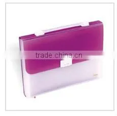 A4 Solid Color PP Document Case/Document Bag